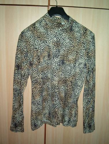 тигрова блузка IM003322.JPG Big
