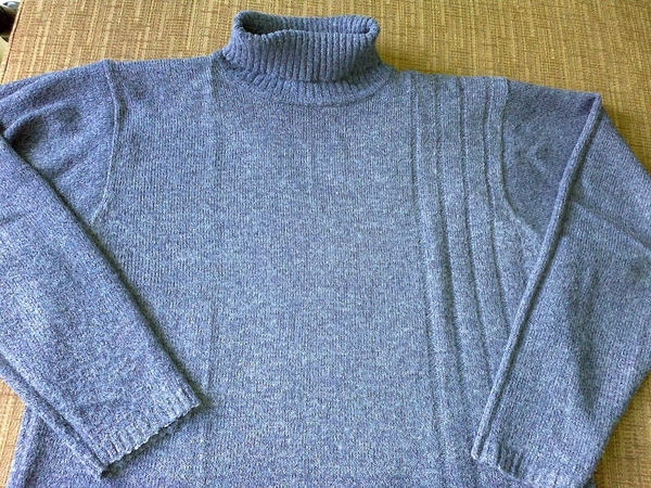 Син пуловер / поло за по-едра жена bialata_16102011420.jpg Big