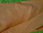 Ораннжев спортен панталон 7/8-SUTERLAND и блузка toni69_DSC04246.JPG