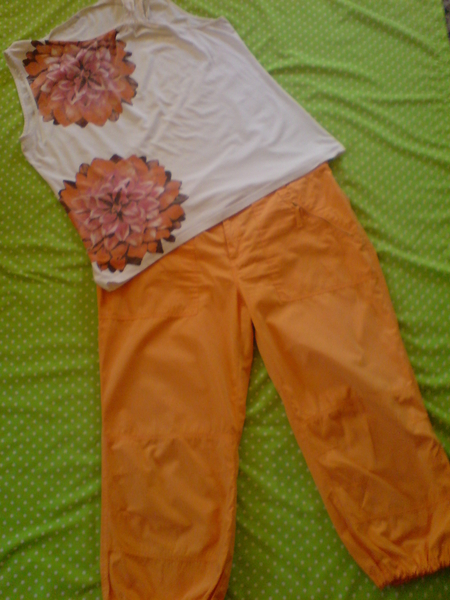 Ораннжев спортен панталон 7/8-SUTERLAND и блузка toni69_DSC04242.JPG Big