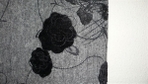 Сива пола с черни рози 56-58 Preslava21_Picture_031_Large_.jpg