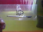 продавам писалка за смарт телефон 15022011263.JPG