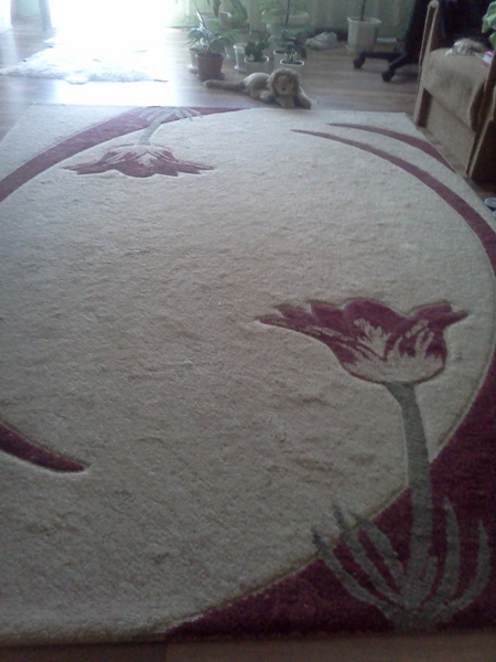 Страхотен релефен килим mama_vava_IMG20110708_001.jpg Big