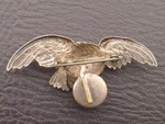 РЯДЪК НАГРЪДЕН  ЗНАК -Първата световна война-- полски Badges Eagle POLAND POLISH WWI AIR FORCE antikbg_966619_0.jpg