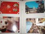 Колекция старинни картички panda7_P9150018.JPG