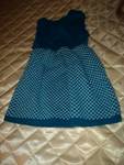 Страхотна синя рокличка DSC029501.JPG