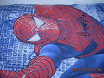 Оригинален комплект Spiderman пердета комплект за легло DSCN27741.JPG