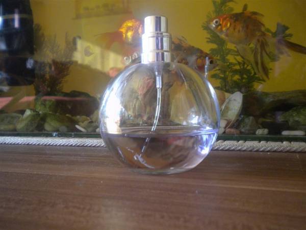 Eclat D Arpege Eau De Parfum Lanvin DSCN6309_Large_.JPG Big
