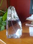 Perceive-eau de parfum-AVON-нов е S6304689.JPG