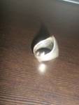 Масивен сребърен пръстен P5220038.jpg