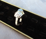 модел 120 Сребърен пръстен с  красив опал, radimm_120_6_.JPG