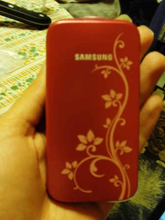 Samsung GT-C3520 marchitka_P4210674.JPG Big