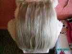 3 пластова естествена коса-мнооого гъста(много намалена-спешно) 5-13_2010_90_1.JPG