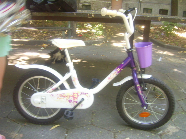 Велосипед Butterfly, размер 16 Pisanbei8_PIC_0009.JPG Big