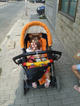 Продавам комбинирана детска количка Mag England. danikol0707_1167963_648547708491049_636.jpg