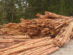 Дървен материал - дъски, греди, дограма и др. avdjer_2d.jpg