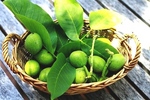 Домашно сладко от зелени орехчета и Тинктура от черен орех - за лек regina_gunter_home_8pIP7O_oR9IL5_j.jpg