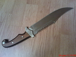 Ножове stiuardesata_DSC05771.JPG