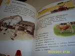 Две детски енциклопедии Picture_0023.jpg