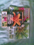 Голяма енциклопедия на цветяте 6,7 и 8 брой,цената е за всички заедно,поотделно-2.50 лв броя abstainer5050_034.jpg