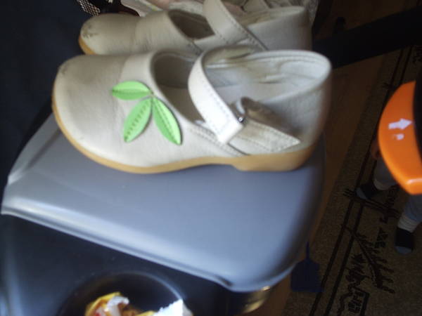 Обувчици в кремаво и зелени листенца P1021711.JPG Big