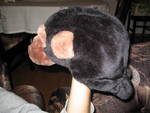 Топла маймунка за сладка муцунка IMG_8413.JPG