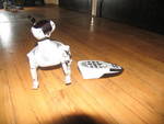 ROBOPET  -мислещо куче робот - коментирам цената IMG_0103.jpg
