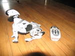 ROBOPET  -мислещо куче робот - коментирам цената IMG_01051.jpg
