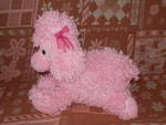 Розово кученце P1270176.JPG