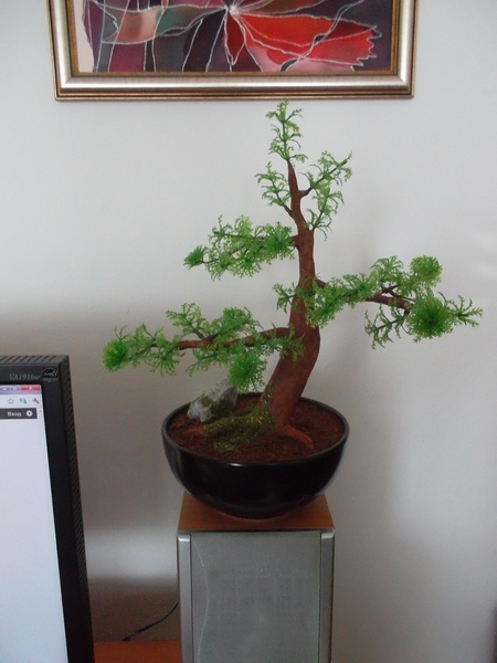 Изкуствен бонсай - мини дръвче desitas_bonsai.jpg Big