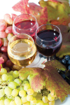 Продавам грозде - винени сортове - Мускат отонел,Каберне совиньон,Памид,Ркацители. garant11_1.jpg