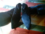 Дамски чизми естествена кожа SUNP0036.JPG