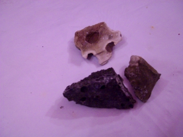 метеоритни камъни zenga1983_ALIM1454.JPG Big