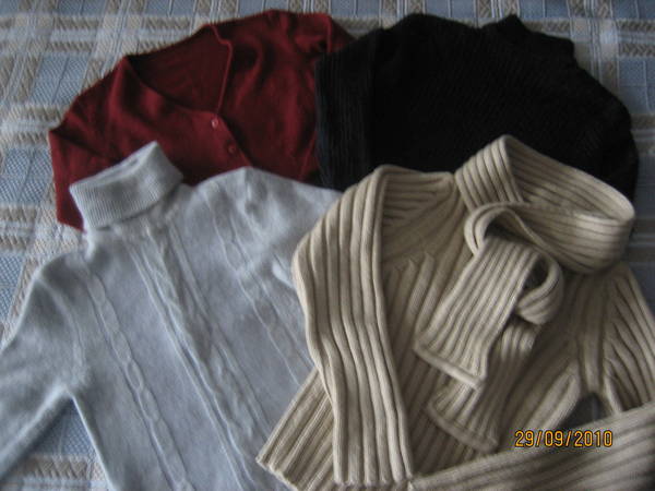 Лот от 4 блузи за есенно-зимния сезон- IMG_8828.jpg Big