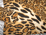 тигрова блузка -поемам пощ.разходи miss_1830_Picture_165.jpg