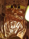 Златна къса рокля(туника) 10012011027.jpg