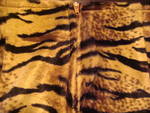 секси тигрово поличка Picture_268.jpg