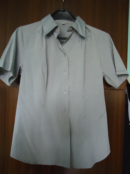 Сива вталена риза tetra_DSC05322.JPG Big