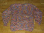 топъл и цветен блузон CIMG5833.JPG