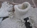 Страхотно зимно поло, машинно плетено IMG_2209.JPG