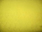 Жълта блуза N.A.S. IMG_60301.JPG