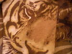 панталон с тигър Tigar2.jpg